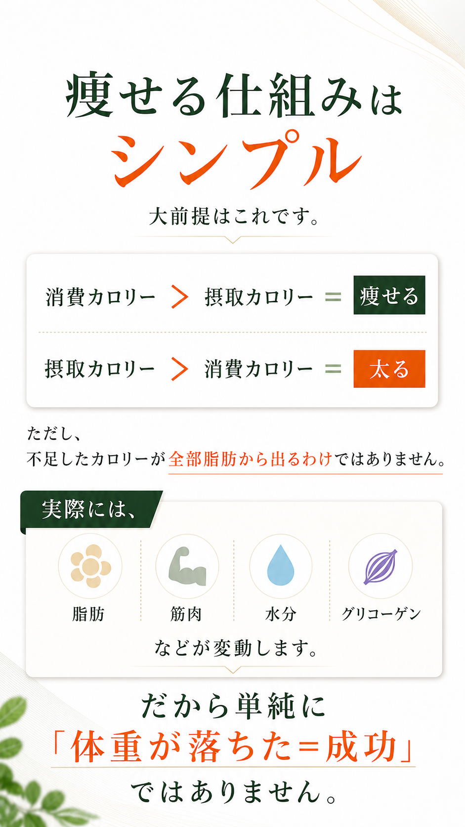 痩せる仕組みはシンプル｜ダイエットの基本ガイド 1ページ目