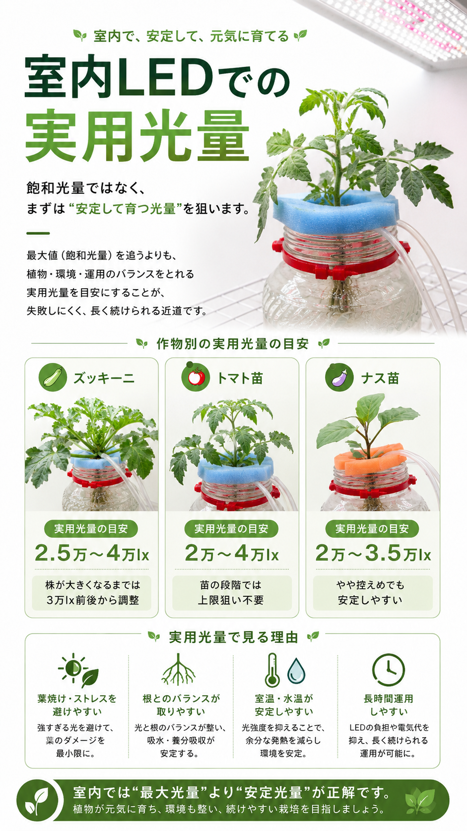 室内LEDでの実用光量
