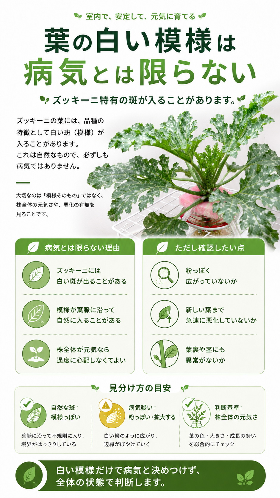 葉の白い模様の見分け方