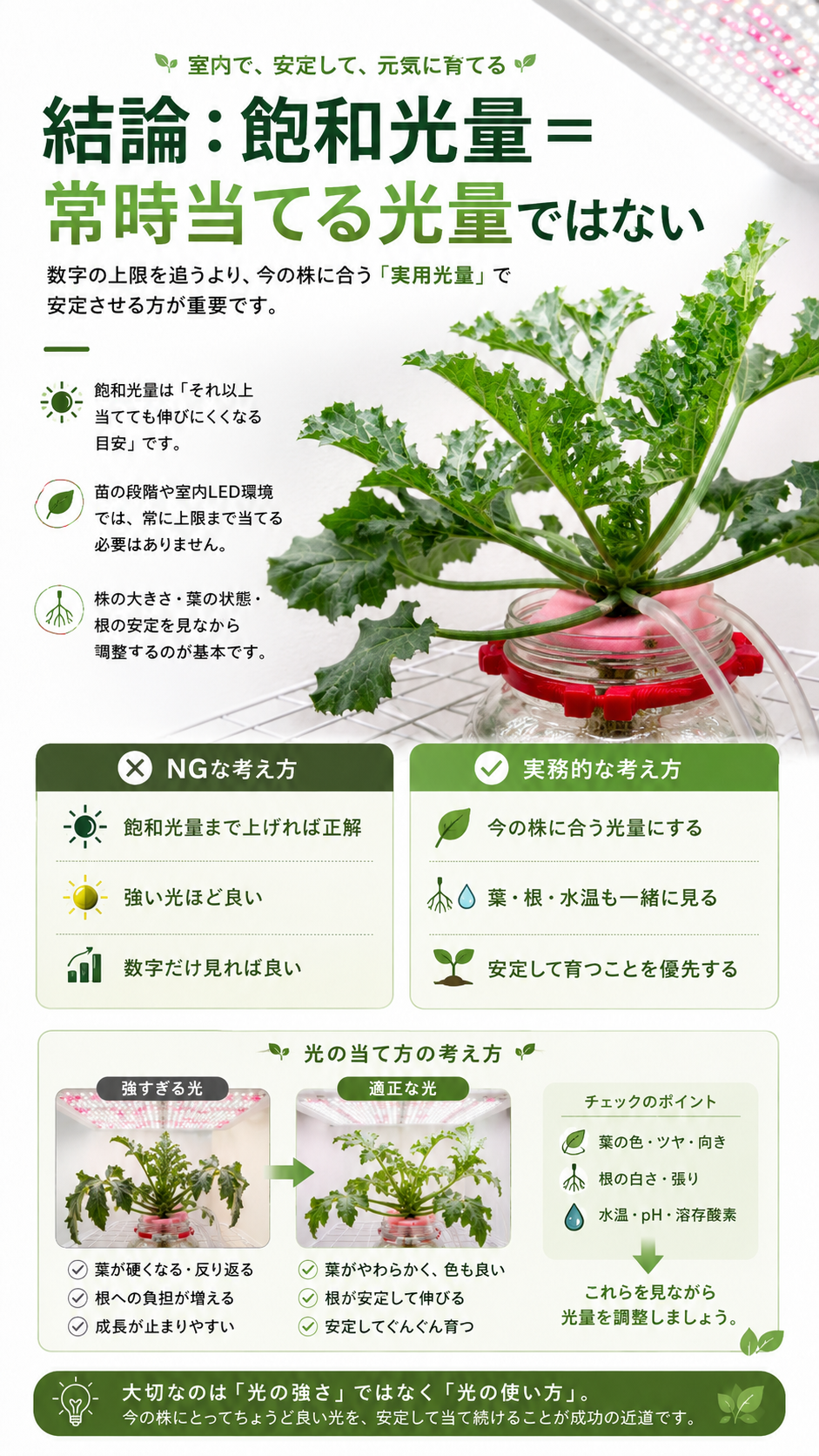 飽和光量ではなく常時当てる光量ではないという説明