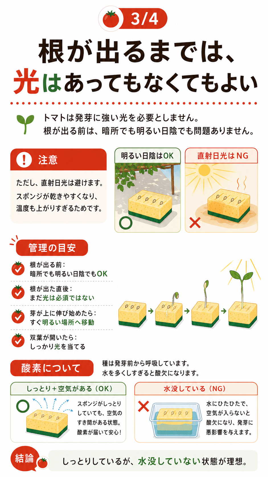 根が出るまでは強い光を避け、水没させずに酸素を保つ管理方法。